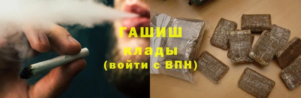 индика Абаза