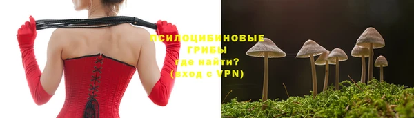 мяу мяу мука Алексеевка