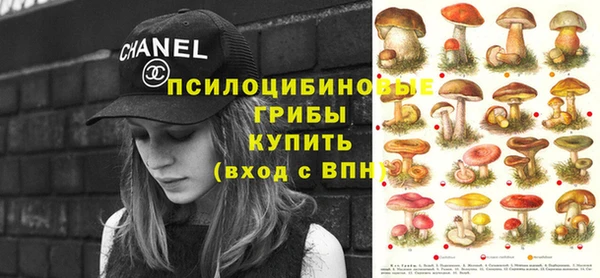кокс Алзамай